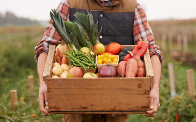 Opening Your Own Farmstand in Maryland: A Growing Trend with Community Impact
