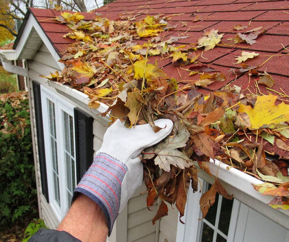 Fall home maintenance